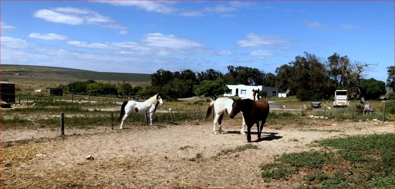 0 Bedroom Property for Sale in Duyker Eiland Western Cape